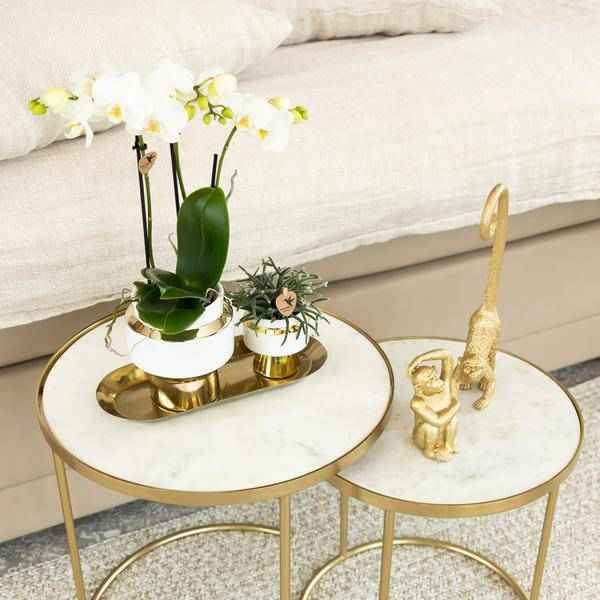 Image of Ornament Dekoskulptur Sitzender Affe – Gold – Handgefertigte Polystone – Figur – 13cm – Verspieltes Dekoaccessoire für Zuhause und Pflanzensets-3