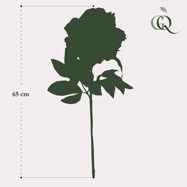 Image of Künstliche Blumenstrauß Pfingstrosen Creme – 5 Stück je 65cm – Realistische Kunstblumen – Zeitloser Deko Blumenstrauß-4