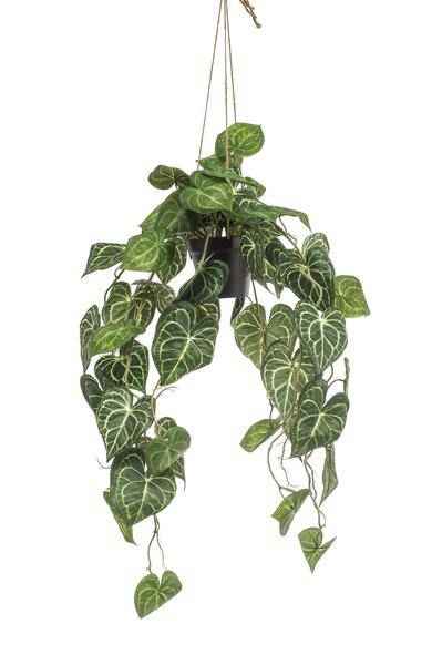 Image of Kunstpflanze Anthurium Clarinervium ↕80cm – künstliche Grünpflanze für Wohnzimmer, Büro, Flur & pflegeleichte Deko