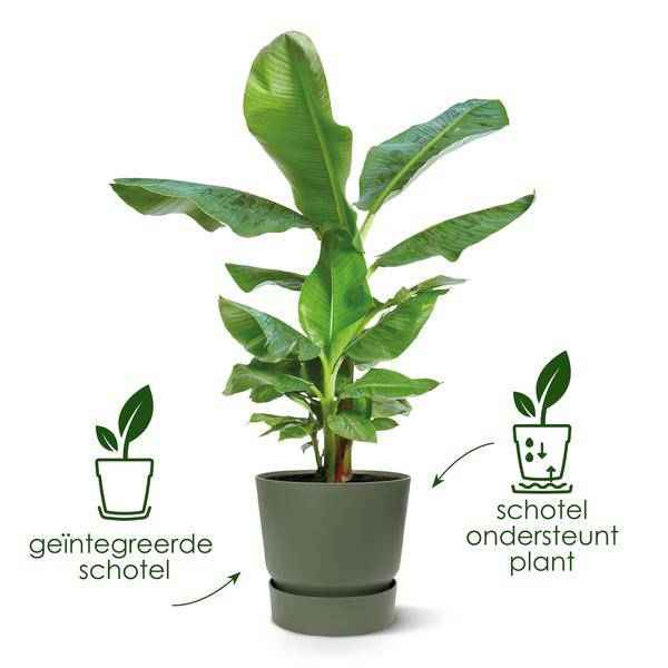 Image of Greenville Pflanztopf Schwarz – D18 x H17 – Blumentopf für Innen & Außen – Stilvolles Pflanzgefäß-2