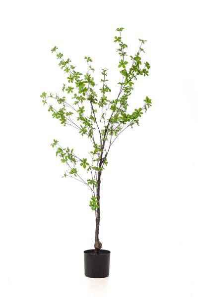 Image of Kunstpflanze Tropaeolum Speciosum – Ostindische Kirsche – 150cm – künstliche Pflanze mit naturgetreuen Blättern – Deko-Pflanze für Zimmer & Büro-0