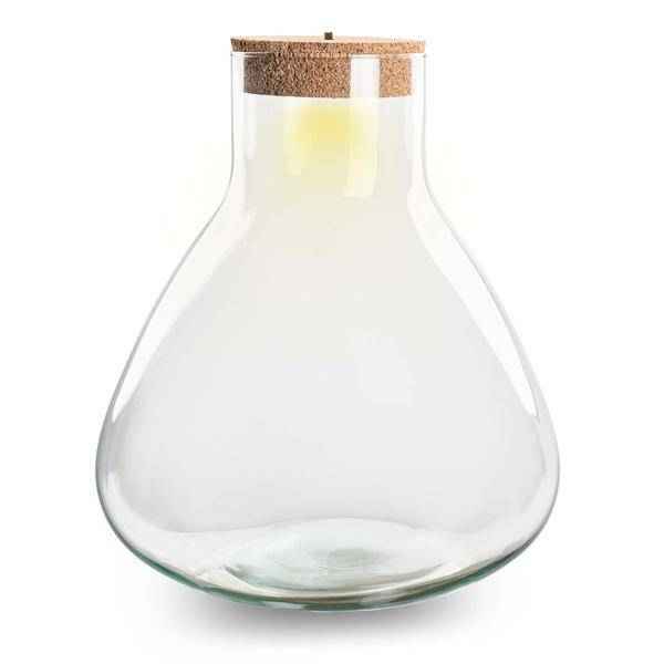 Image of Flaschengarten ↕32cm – pflegeleichter Flaschengarten im Glas, Pflanzen Terrarium für Wohnzimmer & Büro