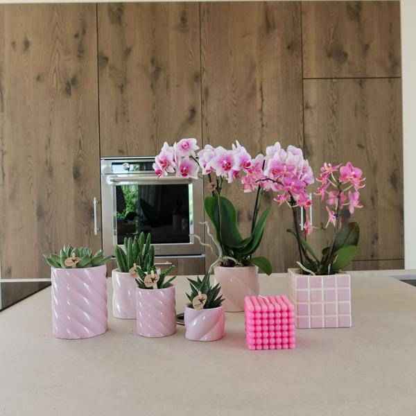 Image of Candy Dekotopf – Hoch – Rosa – Ø6cm – Keramik Übertopf in Pastellrosa – Stilvoller Blumentopf für Zimmerpflanzen & Orchideen-3