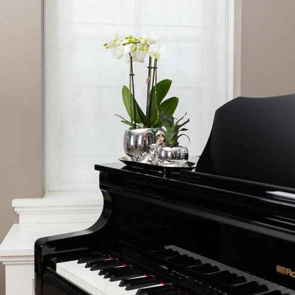 Image of Ovales Tablett – Silber – Ø30cm – Dekoschale aus Metall – Für Pflanzen, Orchideen & Wohnaccessoires – Stilvolle Pflanzunterlage-3