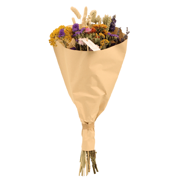 Image of Trockenblumen Feldblumenstrauß Multi Ø25cm ↕60cm – dekorativer Trockenblumenstrauß für Vase, Tischdeko, Wohnzimmer & Geschenkidee-0