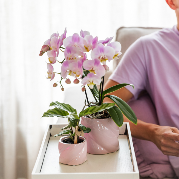 Image of Dekotopf Candy – Rosa – Ø9cm – Keramik Blumentopf in glänzender Optik – Runde Form – Für Orchideen, Sukkulenten & Zimmerpflanzen-1