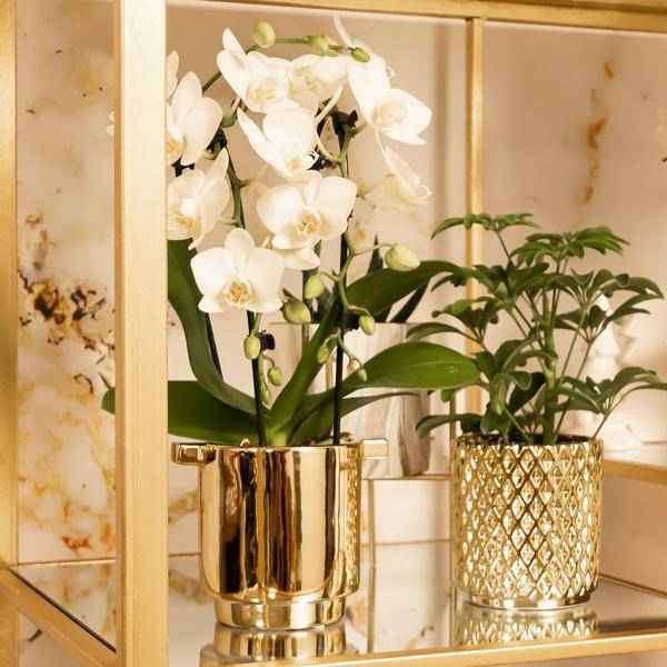 Image of Blumentopf Gold Keramik Metall Ø9cm – moderner Pflanztopf für Zimmerpflanzen, Sukkulenten, Kakteen & Kräuter-1