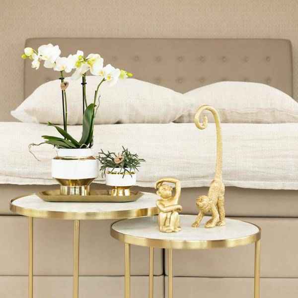 Image of Ovales Tablett – Gold – Metalltablett 30x13cm – Dekoteller für Pflanzen, Töpfe & Wohnaccessoires – Stilvolle Ablage für Orchideen & Deko – Sets-3