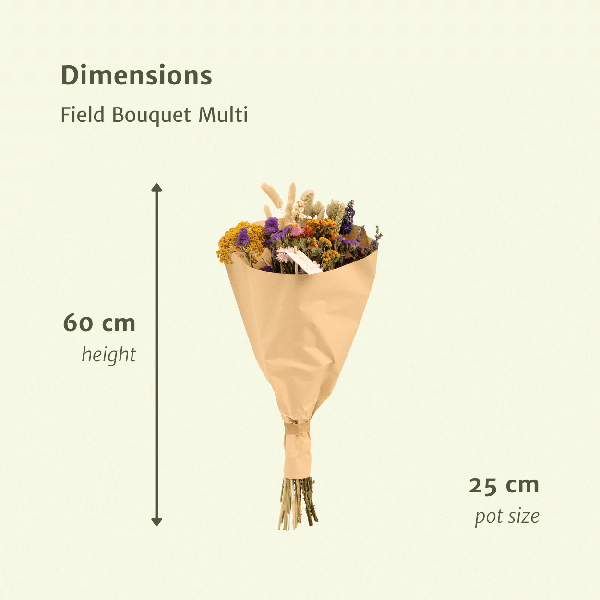 Image of Trockenblumen Feldblumenstrauß Multi Ø25cm ↕60cm – dekorativer Trockenblumenstrauß für Vase, Tischdeko, Wohnzimmer & Geschenkidee-1