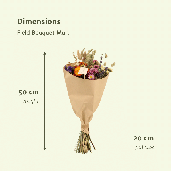Image of Trockenblumen Feldblumenstrauß Multi Ø20cm ↕50cm – dekorativer Trockenblumenstrauß für Vase, Tischdeko, Wohnzimmer & Geschenkidee-1
