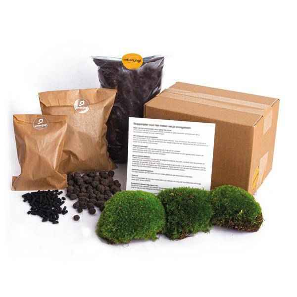 Image of Flaschengarten Bausatz – DIY Starter Kit & Nachfüllpackung – Mini-Pflanzenterrarium Set mit Erde, Hydrokörnern, Aktivkohle & Blumenzwiebeln-0