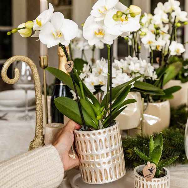 Image of Dekotopf Mosaik – Ø6cm – Blumentopf mit goldenen Mosaikdetails – Stilvoller Mini Pflanztopf für Sukkulenten & kleine Pflanzen