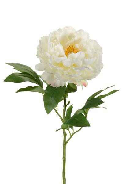 Image of Künstliche Blumenstrauß Pfingstrosen Creme – 5 Stück je 65cm – Realistische Kunstblumen – Zeitloser Deko Blumenstrauß-3