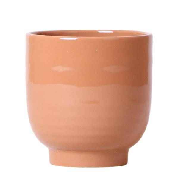 Image of Glasierter Blumentopf Cognac Zimmerpflanze Ø12cm – blühende Orchidee für Wohnzimmer, Büro & helle Standorte kaufen-0