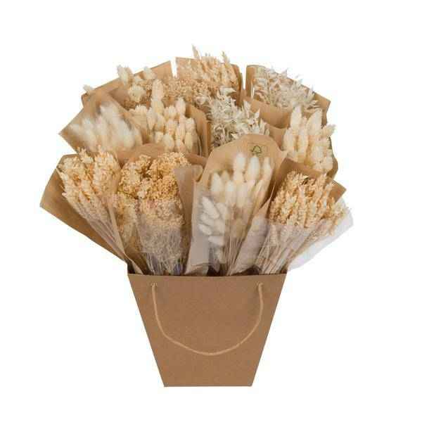 Image of Getrocknete Blumen – Mono Mix – Weiß – ↕50cm – Handgebundener Strauß – Langlebig & pflegeleicht – Elegante Dekoration & Geschenkidee-0