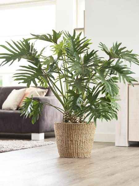 Image of Korb – Jip Natur – XL – H31cm B37cm – Blumentopf aus Seegras – Handgefertigt – Nachhaltig – Dekokorb in Hellbraun-2