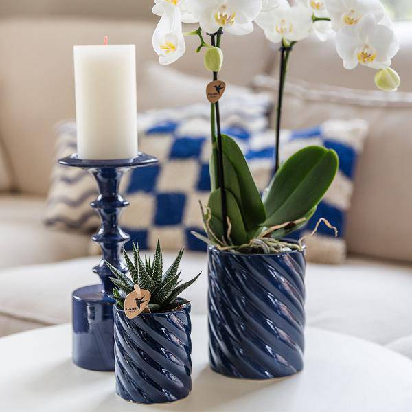 Image of Candy Dekotopf – Hoch – Blau – Ø9cm – Moderner Keramiktopf in kräftigen Farben – Stilvoller Pflanzentopf für Zimmerpflanzen, Orchideen & Sukkulenten-2