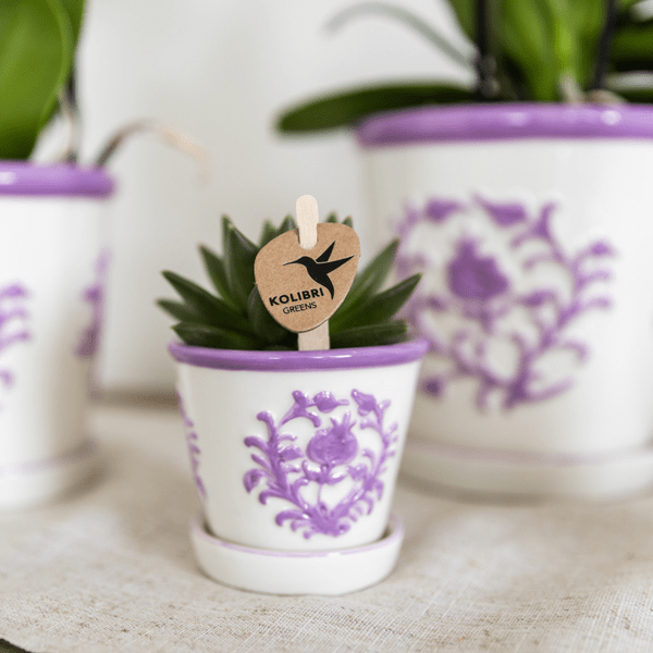 Image of Malaga Topf – Flieder – Ø6cm – Blumentopf aus Keramik im mediterranen Stil – Handgefertigte Optik