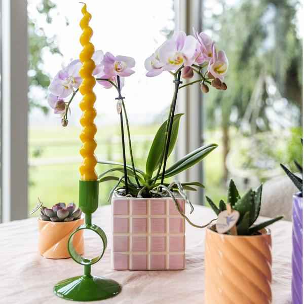 Image of Candy Dekotopf Pfirsich – Ø6cm – Keramik Übertopf in Pastellfarbe – Stilvoller Blumentopf für Zimmerpflanzen & Orchideen – Fröhlicher Pflanzentopf-4