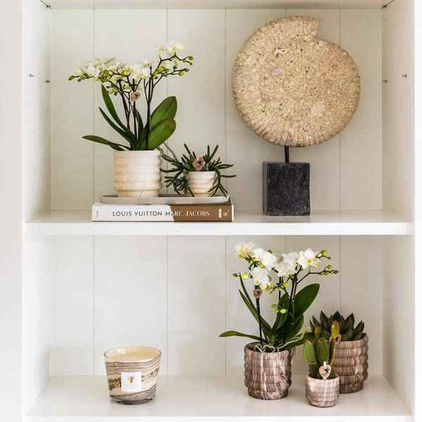 Image of Marmor – Topf Dunkel – Ø6cm – Keramik Blumentopf mit edler Marmoroptik – Mini Dekotopf für kleine Zimmerpflanzen, Sukkulenten & Kakteen-2