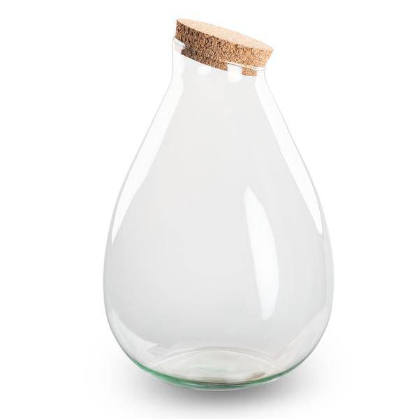 Image of Flaschengarten ↕37cm – pflegeleichter Flaschengarten im Glas, Pflanzen Terrarium für Wohnzimmer & Büro-0