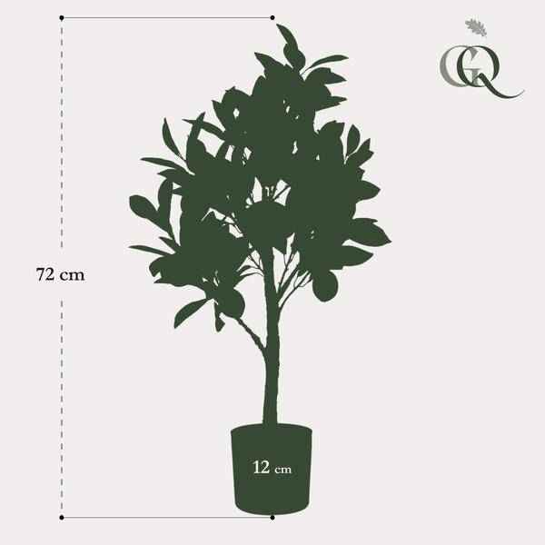 Image of Kunstpflanze Citrus Limonia – Zitronenbaum – 72cm – künstlicher Baum mit realistischen Blättern & Früchten – Deko-Pflanze für Zimmer & Büro