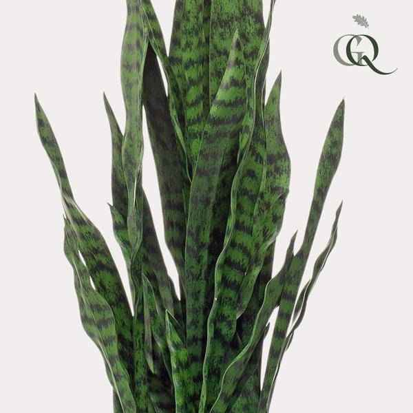 Image of Kunstpflanze Sansevieria Black Coral – Frauenzunge – 97cm – künstliche Pflanze mit realistischen Blättern – Deko-Pflanze für Zimmer & Büro