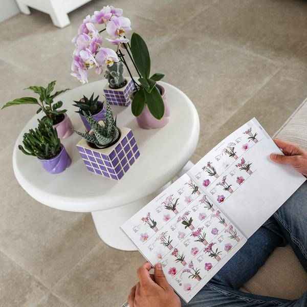 Image of Dekotopf Candy – Flieder – Ø6cm – Farbiger Keramik Blumentopf in glänzender Optik – Runde Form – Für Mini – Orchideen, Sukkulenten & Zimmerpflanzen-4