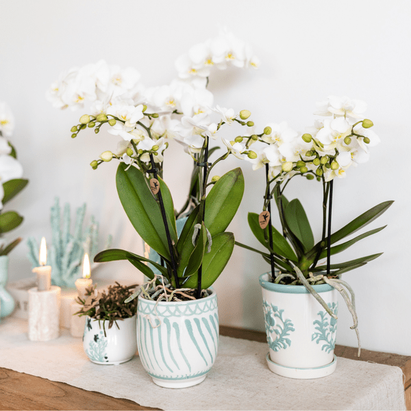 Image of Malaga Übertopf – Türkis – Ø9cm – Blumentopf aus Keramik im mediterranen Stil – Pflanztopf mit handgefertigter Optik – Stilvolle Zimmerdekoration-3