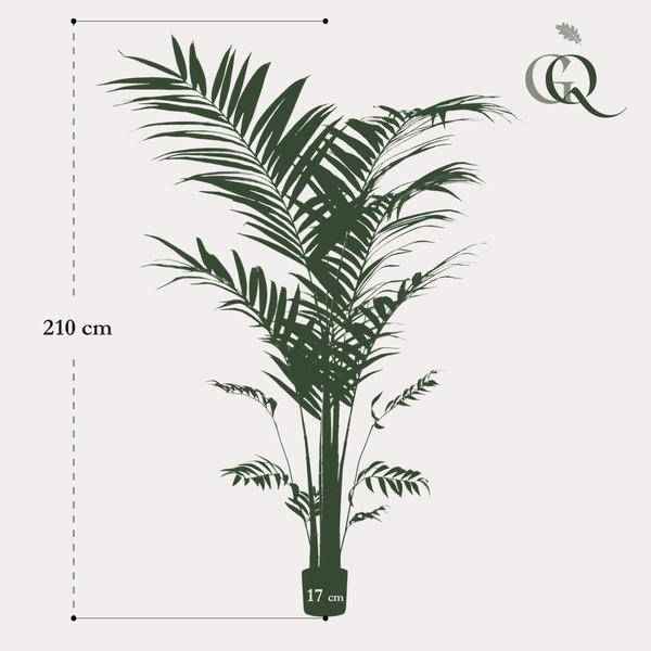 Image of Kunstpflanze Kentia Palme – ca. 210cm hoch – XXL künstliche Kentiapalme mit großen Wedeln – Tropische Zimmerpflanze für Zimmer & Büro