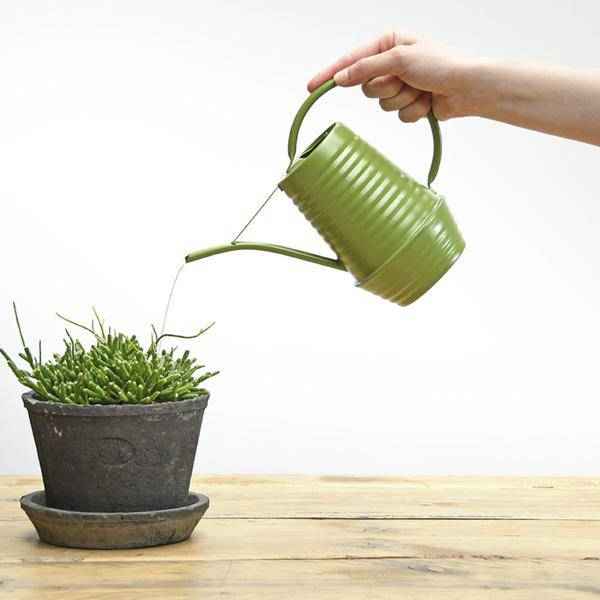 Image of Blumengießkanne Zink – 1 Liter – Grün – Ergonomische Indoor – Gießkanne mit langer Tülle für präzises Gießen-1