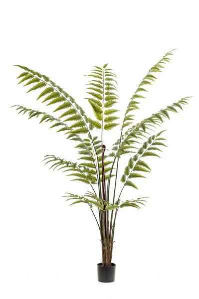 Image of Kunstpflanze Rumohra Adiantiformis ↕180cm – künstliche Grünpflanze für Wohnzimmer, Büro, Flur & pflegeleichte Deko-0