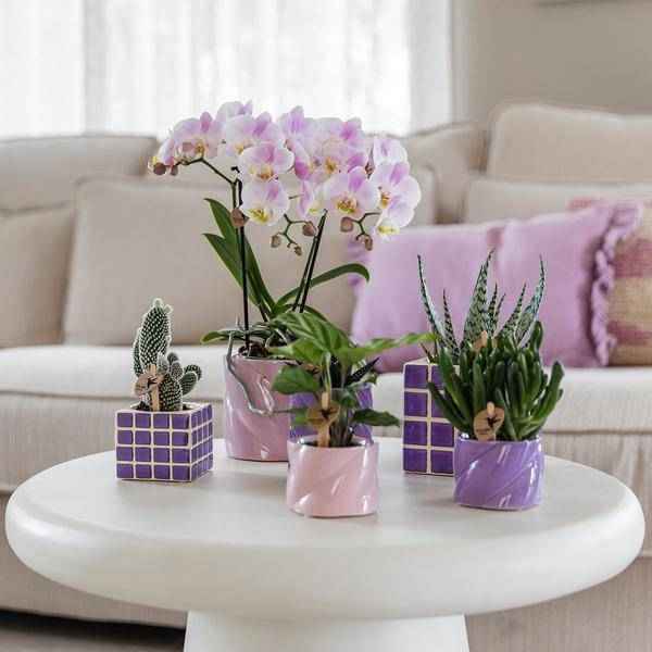 Image of Dekotopf Candy – Flieder – Ø6cm – Farbiger Keramik Blumentopf in glänzender Optik – Runde Form – Für Mini – Orchideen, Sukkulenten & Zimmerpflanzen-2