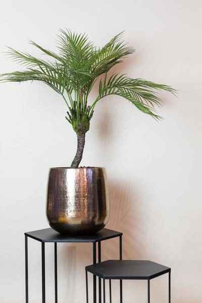 Image of Kunstpflanze Chamaedorea Elegans – Bergpalme – 85cm – Hochwertige künstliche Palme mit naturgetreuen Wedeln – Immergrüne Dekopflanze – Pflegefrei & langlebig-1
