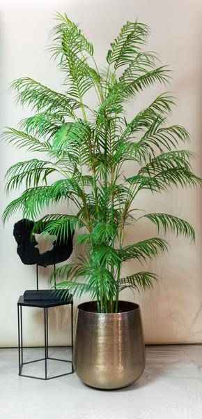 Image of Kunstpflanze Chamaedorea Elegans ↕180cm – künstliche Grünpflanze für Wohnzimmer, Büro, Flur & pflegeleichte Deko-1