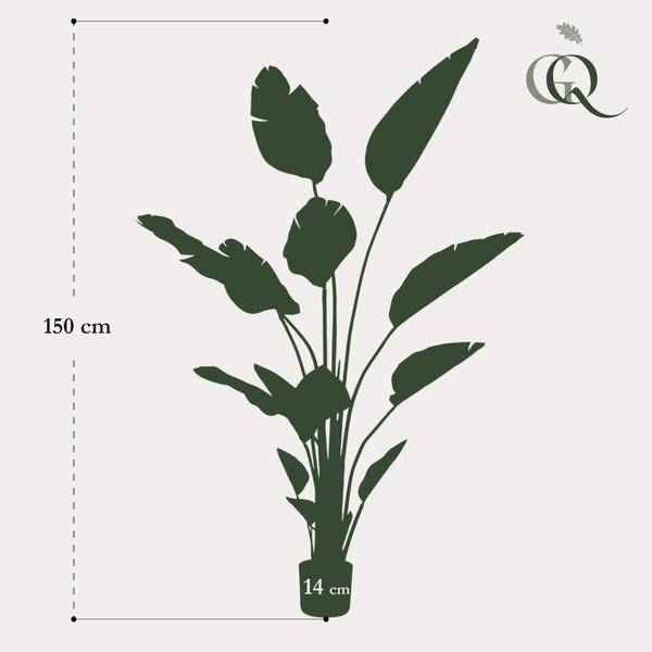 Image of Kunstpflanze Strelitzia Nicolai – Paradiesvogelblume – 150cm – künstliche Pflanze mit realistischen Blättern – Deko-Pflanze für Zimmer & Büro-3