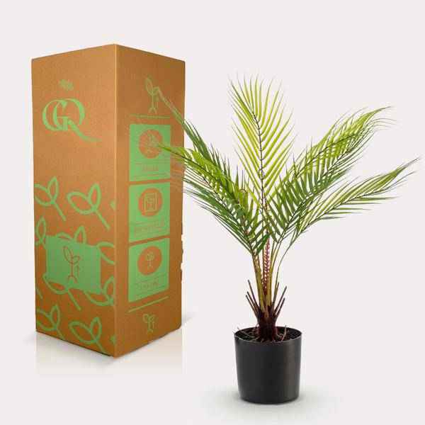 Image of Kunstpflanze Chamaedorea Elegans – Bergpalme – 50cm – künstliche Mini – Palme mit naturgetreuen Fiederblättern – pflegefrei-3