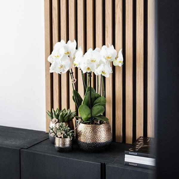 Image of Keramik Blumentopf Kupfer – Pflanztopf Ø12cm – Übertopf glänzend für Zimmerpflanzen, Wohnzimmer, Küche, Büro & Innenräume-4