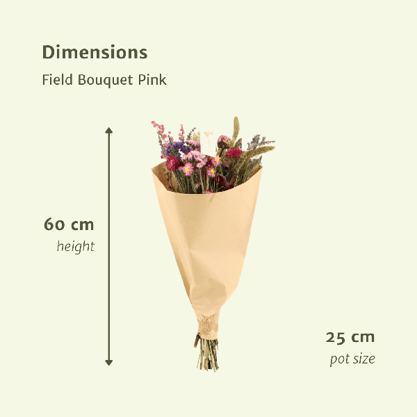 Image of Trockenblumen Feldblumenstrauß Rosa – Blumenstrauß – Ø25cm ↕60cm – Romantische Rosatöne – Pflegefrei – Natürliche Deko für Innenräume-1