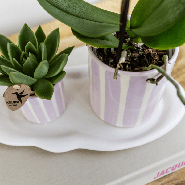 Image of Painted Stripe Blumentopf Rosa Ø9cm – Keramiktopf im Streifenmuster – Pflanzentopf im Mediterranean Sunset Design-2