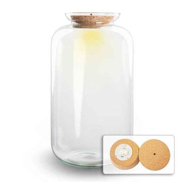 Image of Flaschengarten Terrarium Flasche + LED in Kork ↕43cm – pflegeleichter Flaschengarten im Glas, Pflanzen Terrarium für Wohnzimmer & Büro