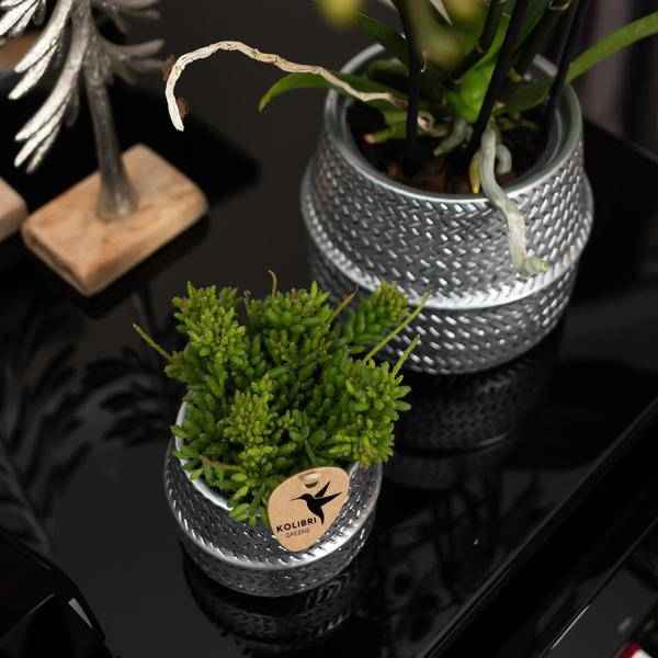 Image of Blumentopf Rille – Gold – Ø6cm – Kleiner Keramik – Ziertopf mit Rillenstruktur – Matte Oberfläche – Für Mini-Pflanzen & Sukkulenten-3