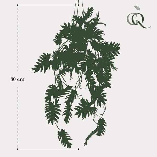 Image of Kunstpflanze Philodendron – Hängepflanze 80cm – Täuschend echt & pflegefrei – Dekorative Kunst – Zimmerpflanze für Wohnzimmer, Büro & kleine Räume-3