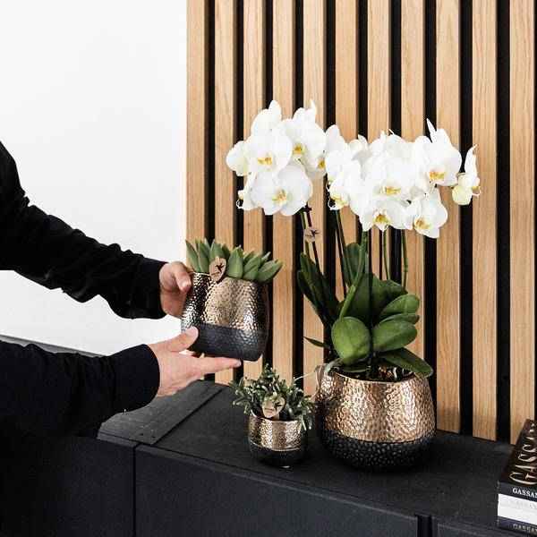 Image of Keramik Blumentopf Kupfer – Mini – Pflanztopf Ø6cm – Glänzender Übertopf für kleine Zimmerpflanzen, Sukkulenten & Kakteen
