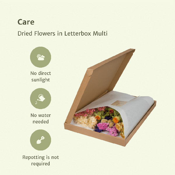 Image of Trockenblumen im Briefkasten – Letterbox Multi – Trockenstrauß in Weiß, Beige & Hellrosa – Elegante Deko – Pflegefrei – Perfekt für Innenräume-2