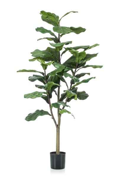 Image of Kunstpflanze Ficus Lyrata – Geigen – Feige – 120cm – künstliche Pflanze mit realistischen Blättern – Deko-Pflanze für Zimmer & Büro – pflegefrei-0
