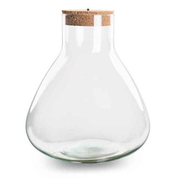 Image of Flaschengarten ↕32cm – pflegeleichter Flaschengarten im Glas, Pflanzen Terrarium für Wohnzimmer & Büro
