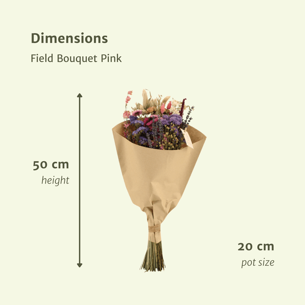 Image of Trockenblumenstrauß – Feldblumen Rosa – Ø20cm ↕50cm – Getrocknete Blumen – Romantisch & Natürlich – Dekostrauß für Innenräume-1