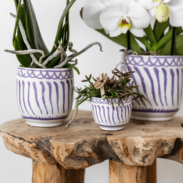 Image of Topf Granada – Flieder – Ø6cm – Dekorativer Blumentopf aus glasierter Keramik – Mediterraner Stil – Pflanzgefäß für Zimmerpflanzen, Sukkulenten & Deko-3