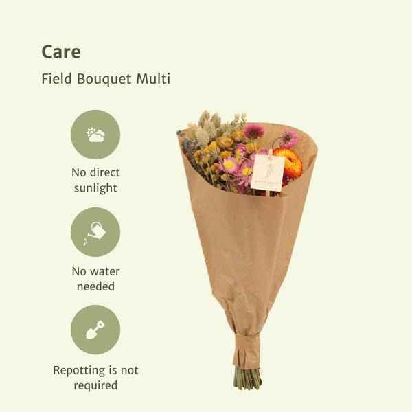 Image of Trockenblumenstrauß Field Bouquet Multi Ø25cm ↕60cm – dekorativer Trockenblumenstrauß für Vase, Tischdeko, Wohnzimmer & Geschenkidee-1